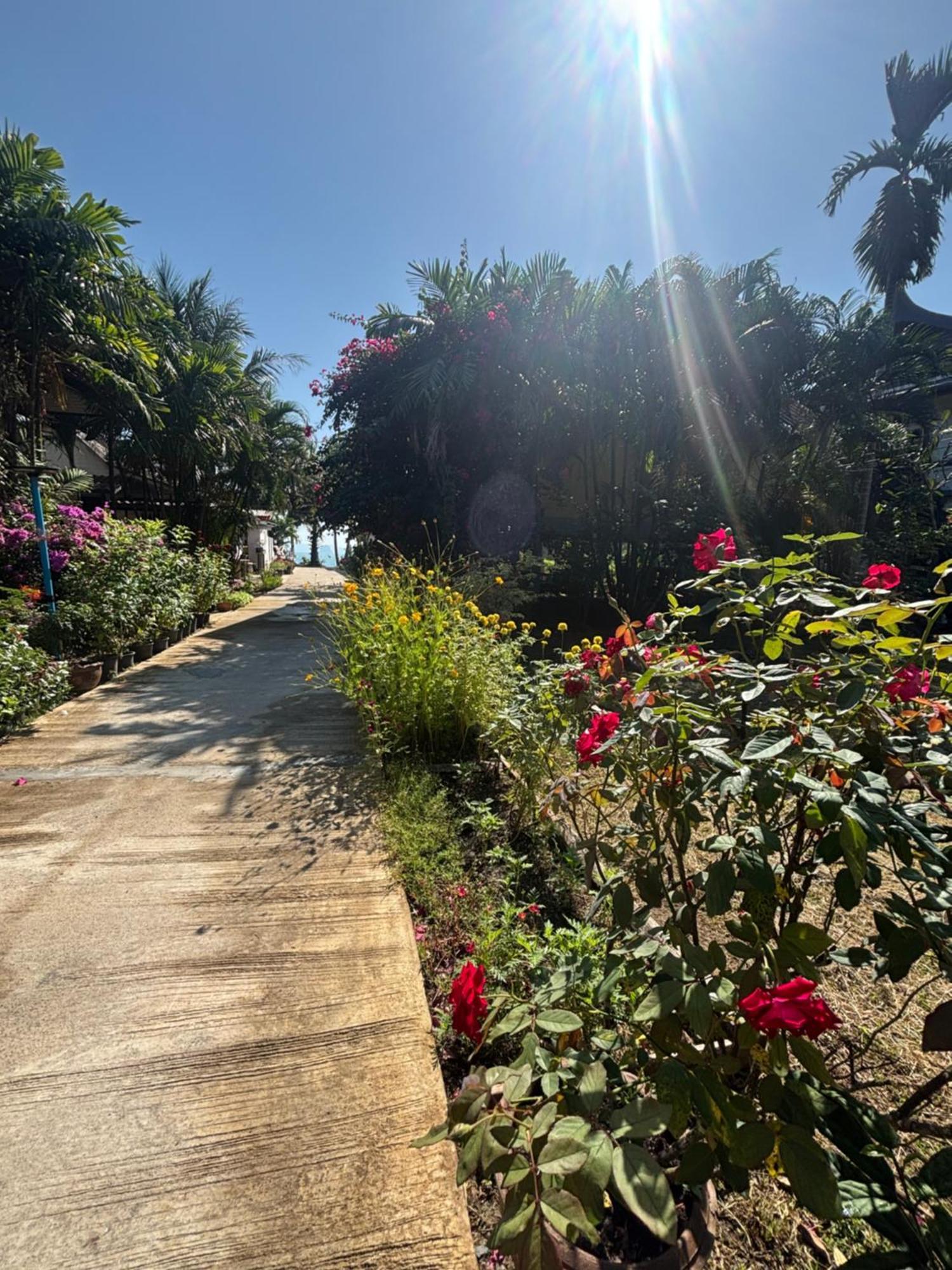 Mookdaman Bungalow Ko Yao Noi Exteriör bild